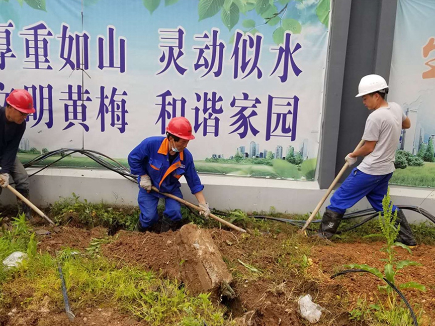 香港免费公开资料大全