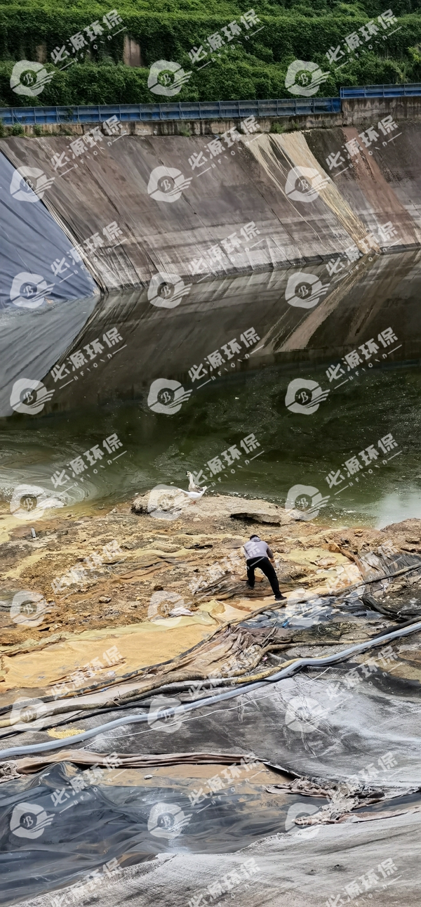 香港免费公开资料大全