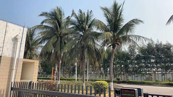 香港免费公开资料大全