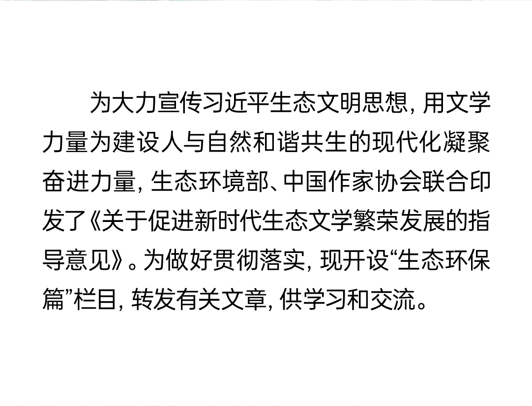 香港免费公开资料大全