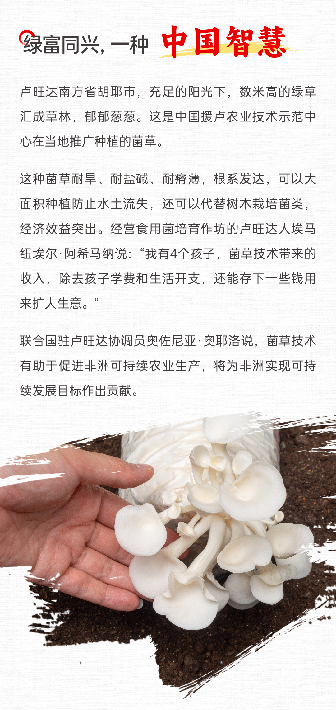 香港免费公开资料大全