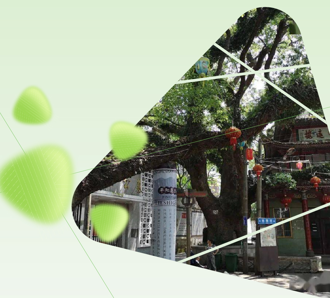香港免费公开资料大全