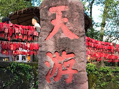 踏青山聚同心，香港免费公开资料大全武夷山团建之旅圆满收官！
